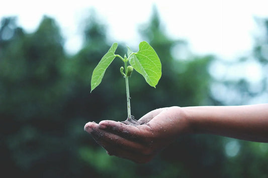 Greenwashing in Beauty: What You Need to Know (Part 1)
